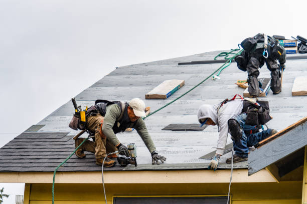 Professional Storm Damage Roof Repair technician working in Goodrich, MI